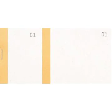 Bloc VENDEUR Orange Carnet de 100 tickets COGIR 7036