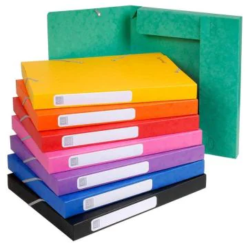 EXACOMPTA : Lot de 25 boîtes de classement 18500H  - Dos 25 mm - Assortiment 