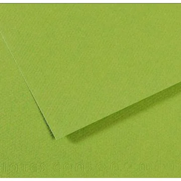 Feuille de papier dessin Mi-teintes - Vert - 500 x 650 mm : CANSON Exemple