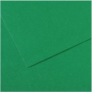 Feuille de papier dessin Mi-teintes - Vert herbe - 500 x 650 mm : CANSON Photo