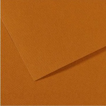 Feuille de papier dessin Mi-teintes - Marron clair - 500 x 650 mm : CANSON 321184 Image