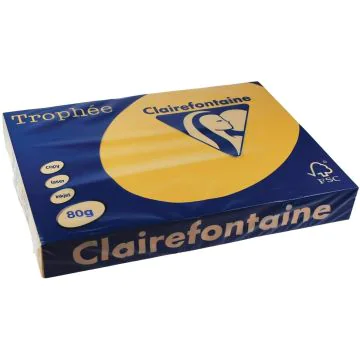 Ramette de papier Trophée de 500 feuilles A3 - Bouton d'Or : CLAIREFONTAINE Visuel