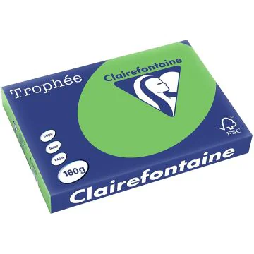 Ramette de papier de 250 feuilles A3 160g - Vert Menthe : CLAIREFONTAINE Trophée Modèle