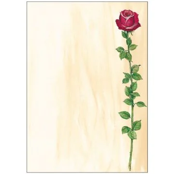 SIGEL DP695 : Lot de 25 feuilles de papier - Rose