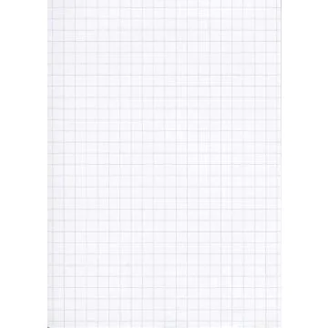Fiches Bristol 125 x 200 mm - Blanc quadrillé ELVE B12513