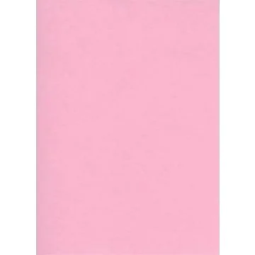Fiches Bristol Unies - 75 x 125 mm - Rose : ELVE Lot de 100 Image