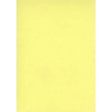 Fiches Bristol Unies A3 - 297 x 420 mm - Jaune : ELVE Lot de 100 Visuel