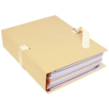 EXACOMPTA Chemises toilées à sangle - Mastic 223015E