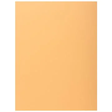 Lot de 100 Chemises à 1 rabat - Bulle EXACOMPTA Visuel