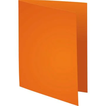 Lot de 100 Chemises pour dossiers - Orange : EXACOMPTA Forever 220 Visuel