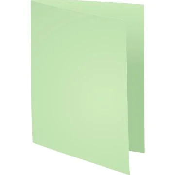 Lot de 100 Chemises pour dossiers - Vert pré : EXACOMPTA Forever 220 Visuel