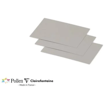 Photo POLLEN : Carte de papier Argent - Format 70 x 95 mm 11291C