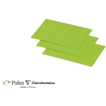 Photo POLLEN : Carte de papier Vert menthe - Format 70 x 95 mm 1221C