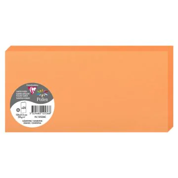 Photo POLLEN : Carte double de papier - Format DL - Clémentine 12536C