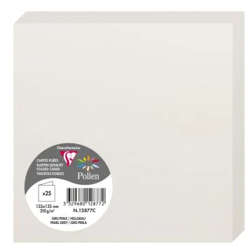 Photo Cartes double en papier - 135 x 135 mm - Gris Perle CLAIREFONTAINE Pollen Lot de 25