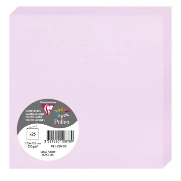Photo Cartes double en papier - 135 x 135 mm - Lilas CLAIREFONTAINE Pollen