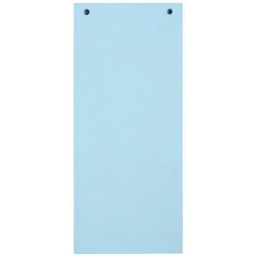 Photo Intercalaires - 240 x 105 mm - Bleu EXACOMPTA Forever 