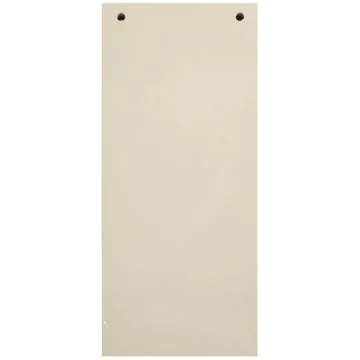 Visuel Intercalaires - 240 x 105 mm - Beige EXACOMPTA Forever 
