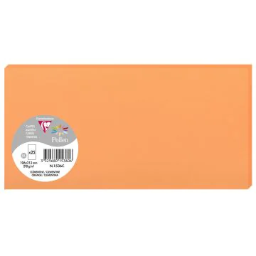 Photo POLLEN Carte DL Clémentine 106 x 213 mm 1536C Clairefontaine