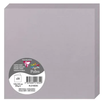 Photo Cartes double en papier - 135 x 135 mm - Gris Koala CLAIREFONTAINE Pollen Lot de 25