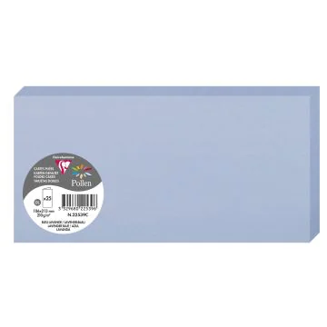Photo POLLEN : Carte double de papier - Format DL - Bleu lavande 22539C