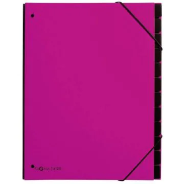 Photo 24129-34  Pagna : Trieur à soufflets 12 compartiments - Rose foncé