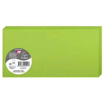 Photo POLLEN : Carte double de papier - Format DL - Vert menthe 2521C
