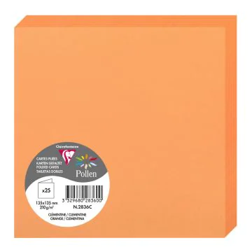 Photo Cartes double en papier - 135 x 135 mm - Clémentine CLAIREFONTAINE Pollen Lot de 25