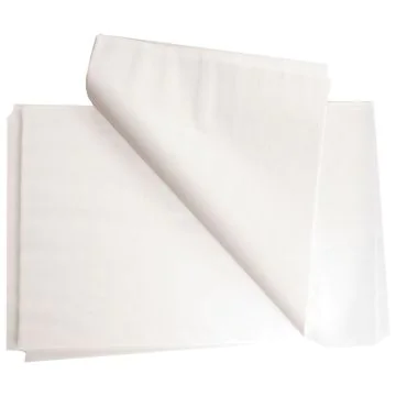 Photo Feuille de papier sulfurisé - 400 x 600 mm HYGOSTAR Premium