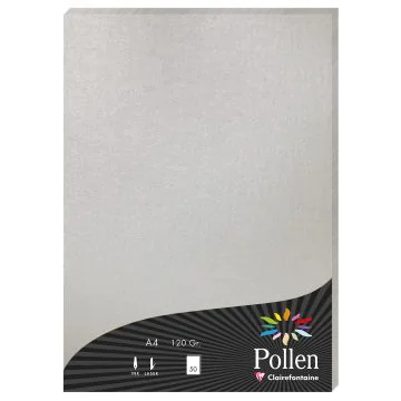 Photo Feuille de couleur Argent 210 x 297 mm A4 POLLEN 4199C