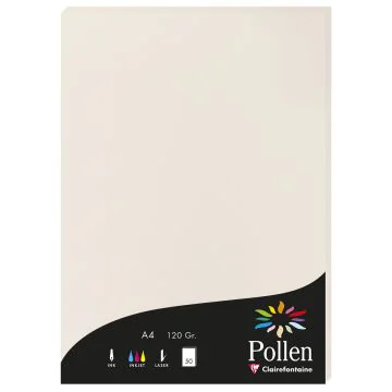 Photo Feuille de couleur Gris perle 210 x 297 mm A4 POLLEN 4268C
