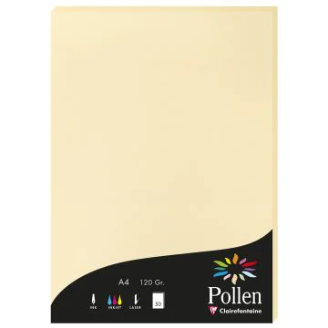 Photo Feuille de couleur Chamois 210 x 297 mm A4 POLLEN 4296C
