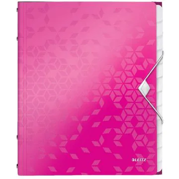 Photo Trieur A4 - 12 compartiments - Rose LEITZ Wow 