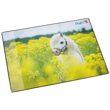 Photo Sous-mains de bureau - 400 x 530 mm - Cheval dans un champ de colza LAUFER