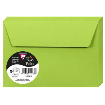 Photo Enveloppe POLLEN Vert Menthe Format  114 x 162 mm 5546C