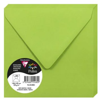 Photo Enveloppe POLLEN Vert Menthe Format  140 x 140 mm 5548C