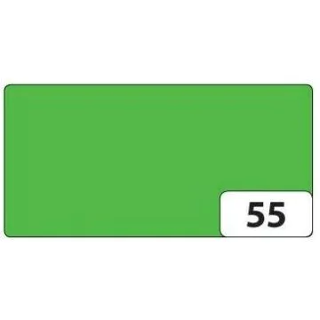 Feuilles de couleur A4 - 210 x 297 mm - Vert herbe FOLIA Image