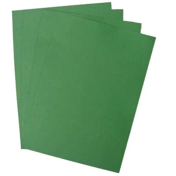 Photo Plat de couverture pour reliure A4 - Carton Grain Cuir - Vert Forêt mat PAVO (8011186)