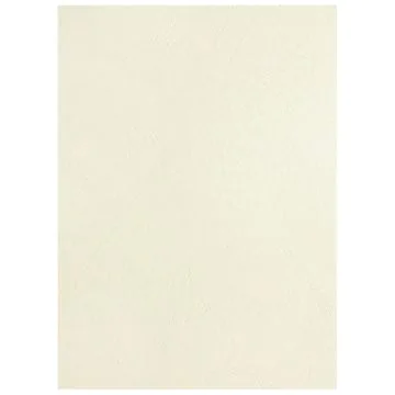 Photo Plat de couverture pour reliure A4 - Carton Grain Cuir - Ivoire mat PAVO (8011216)
