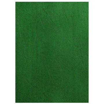 Photo Plat de couverture pour reliure A4 - Carton Grain Cuir - Vert Foncé mat PAVO (8032464)