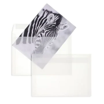 Photo MAIL-Média : Enveloppes transparentes DL - Blanc Couleur