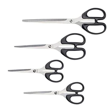 Photo MAUL : Ciseaux professionnels - 210 mm