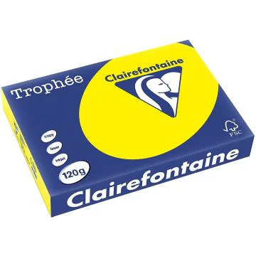 Ramette de papier de 250 feuilles A4 120g - Jaune Soleil : CLAIREFONTAINE Trophée Exemple
