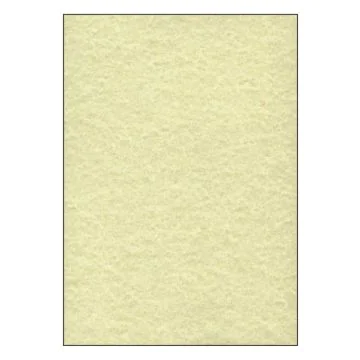 SIGEL DP605 : Lot de 100 feuilles Perga - Format A4 - Champagne