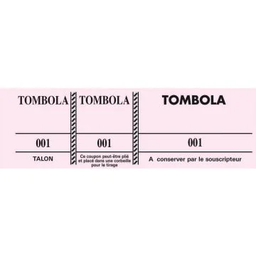 TOMBOLA Carnet de 100 tickets Roses Modèle
