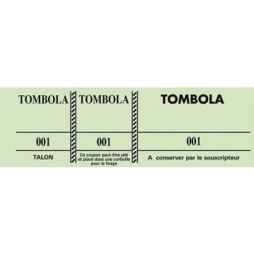 TOMBOLA Carnet de 100 tickets Verts Modèle