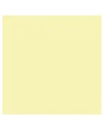 Feuille de papier dessin Mi-teintes Citron pastel 500 x 650 mm : CANSON