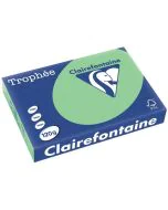 Ramette de papier de 250 feuilles A4 120g - Vert Nature : CLAIREFONTAINE Trophée photo