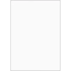 ELVE B105 : Lot de 100 fiches bristol A6 - 105 x 148 mm - Blanc uni
