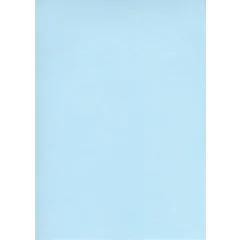 ELVE B105B : Lot de 100 fiches bristol A6 - 105 x 148 mm - Bleu uni 